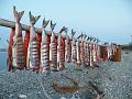 Wales-Nome 195